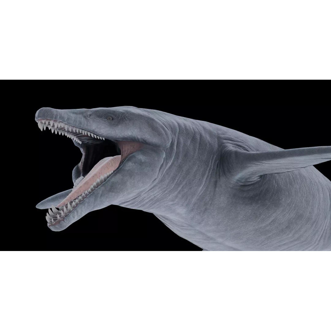 Kronosaurus 3D Model – Low Poly Animated Asset Pack, FBX, PBR - View 10