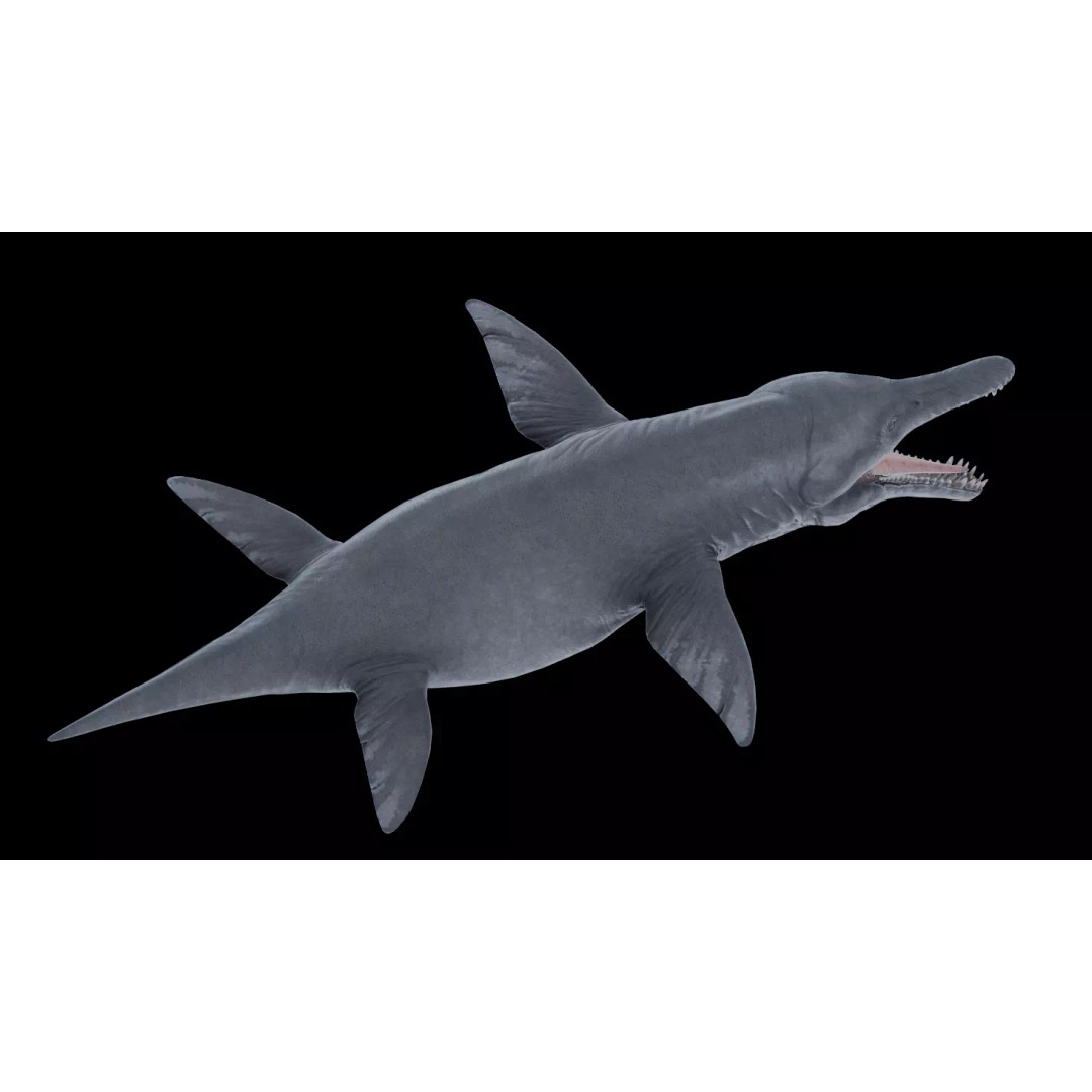 Kronosaurus 3D Model – Low Poly Animated Asset Pack, FBX, PBR - View 11