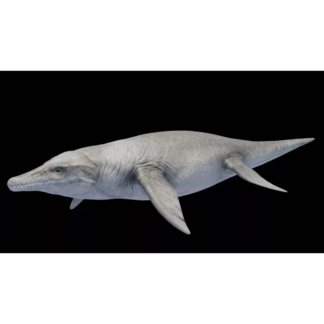 Kronosaurus 3D Model – Low Poly Animated Asset Pack, FBX, PBR - View 12