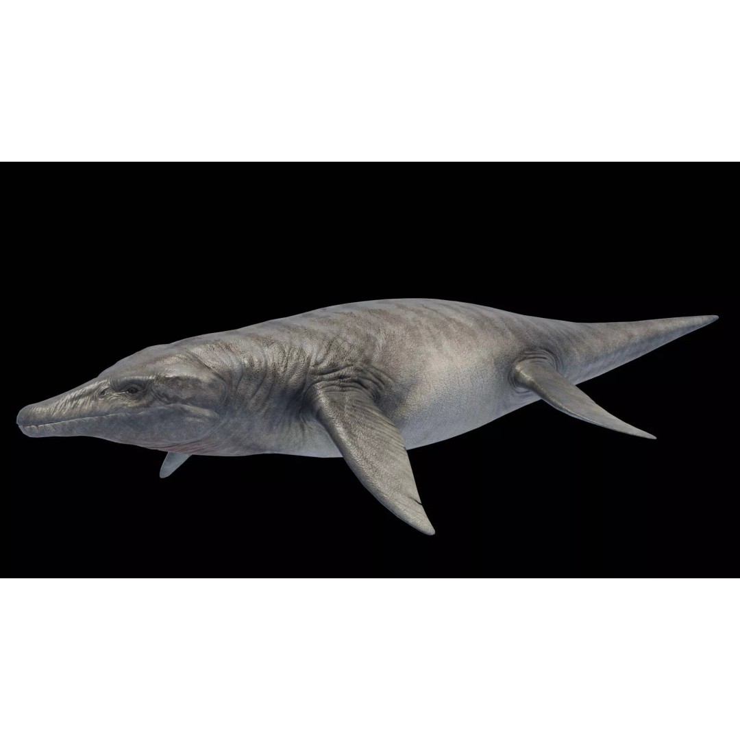 Kronosaurus 3D Model – Low Poly Animated Asset Pack, FBX, PBR - View 15