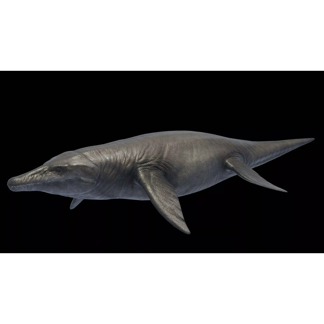 Kronosaurus 3D Model – Low Poly Animated Asset Pack, FBX, PBR - View 16