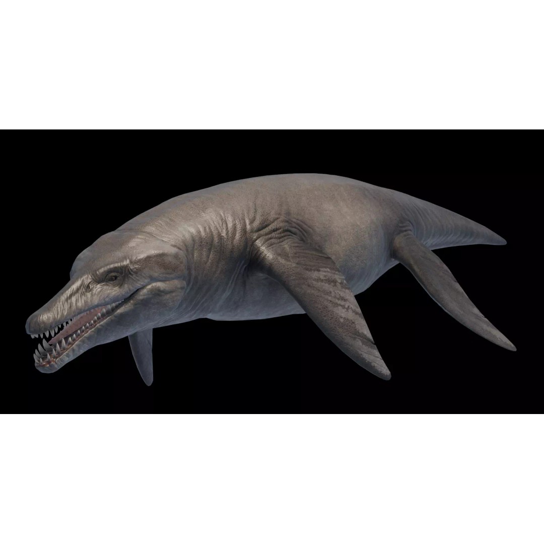 Kronosaurus 3D Model – Low Poly Animated Asset Pack, FBX, PBR - View 3