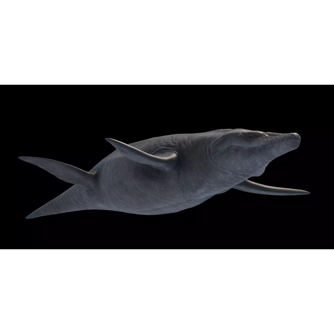Kronosaurus 3D Model – Low Poly Animated Asset Pack, FBX, PBR - View 4