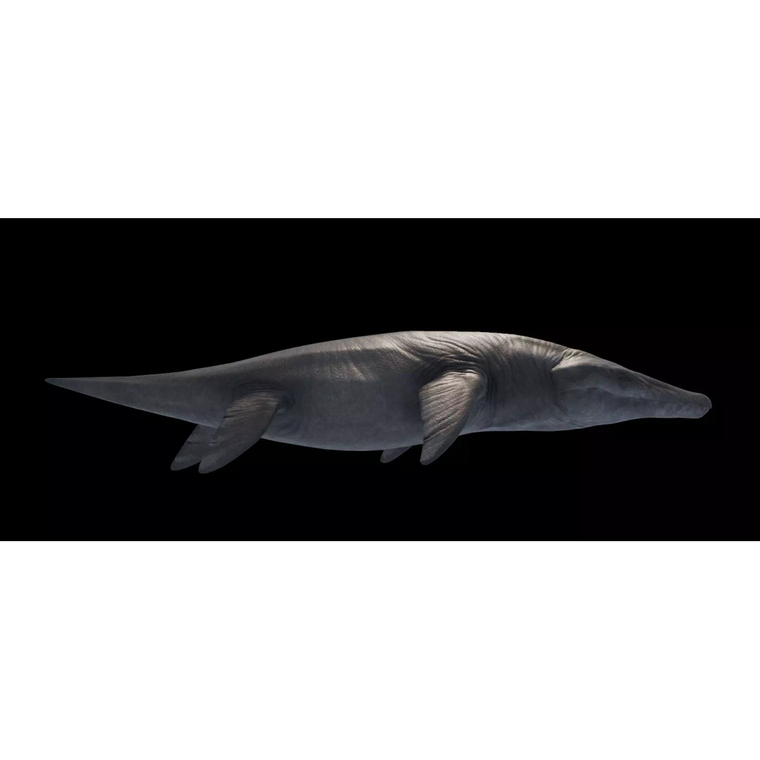 Kronosaurus 3D Model – Low Poly Animated Asset Pack, FBX, PBR - View 5