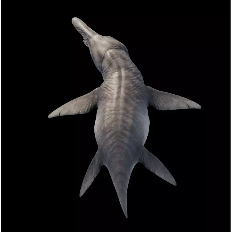 Kronosaurus 3D Model – Low Poly Animated Asset Pack, FBX, PBR - View 6