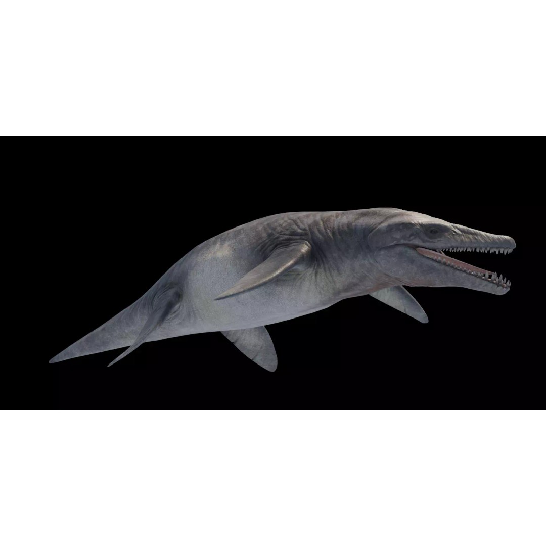 Kronosaurus 3D Model – Low Poly Animated Asset Pack, FBX, PBR - View 7