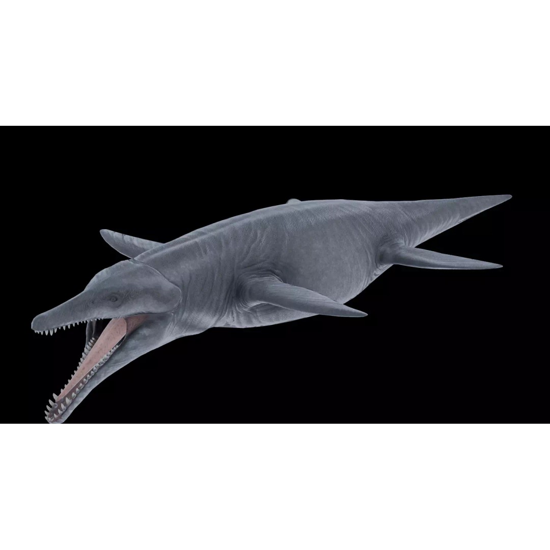 Kronosaurus 3D Model – Low Poly Animated Asset Pack, FBX, PBR - View 9