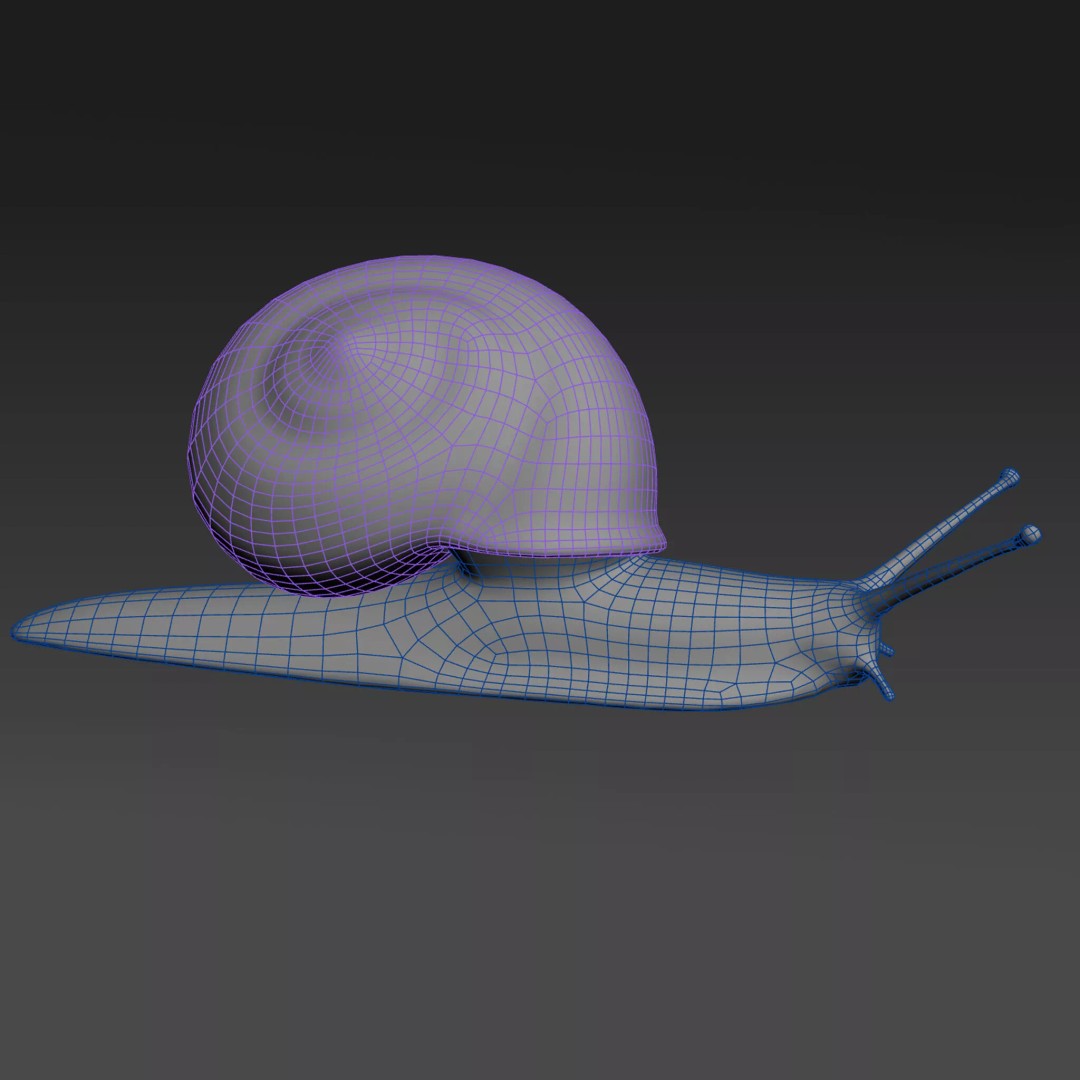 Rhinocochlis nasuta 3D Model – Low Poly Game Asset, FBX, PBR Textures