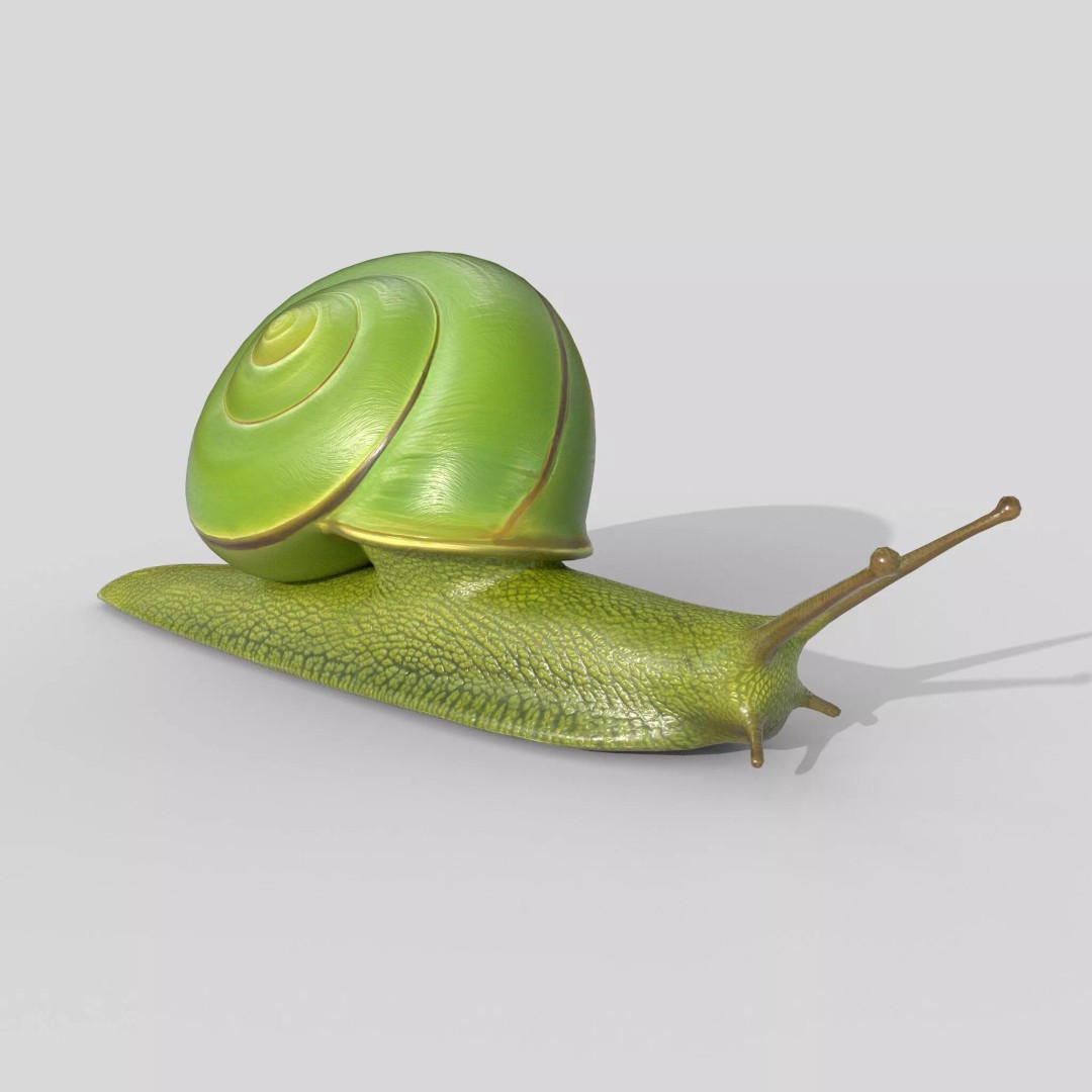 Rhinocochlis nasuta 3D Model – Low Poly Game Asset, FBX, PBR Textures - View 2