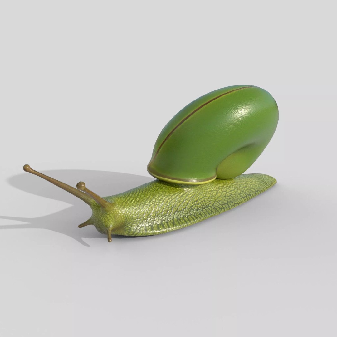 Rhinocochlis nasuta 3D Model – Low Poly Game Asset, FBX, PBR Textures - View 3