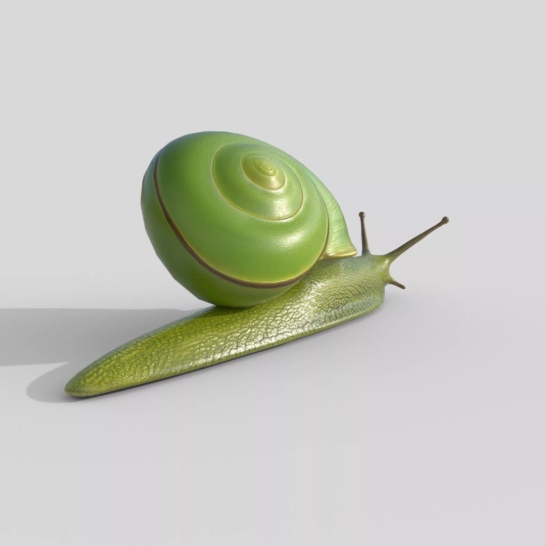 Rhinocochlis nasuta 3D Model – Low Poly Game Asset, FBX, PBR Textures - View 4
