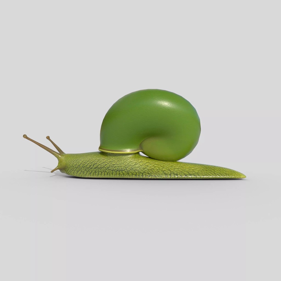 Rhinocochlis nasuta 3D Model – Low Poly Game Asset, FBX, PBR Textures - View 7