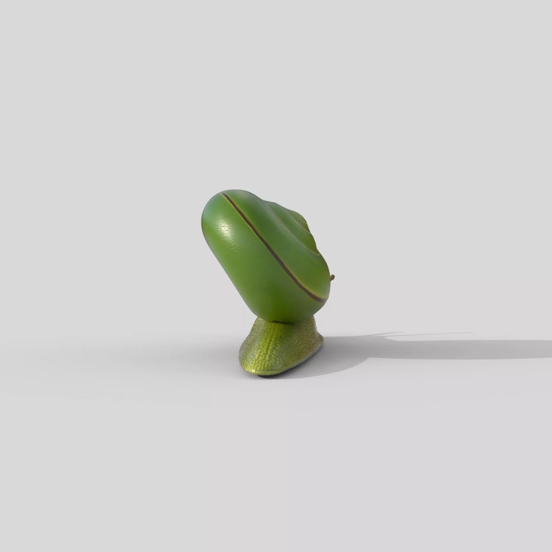 Rhinocochlis nasuta 3D Model – Low Poly Game Asset, FBX, PBR Textures - View 8
