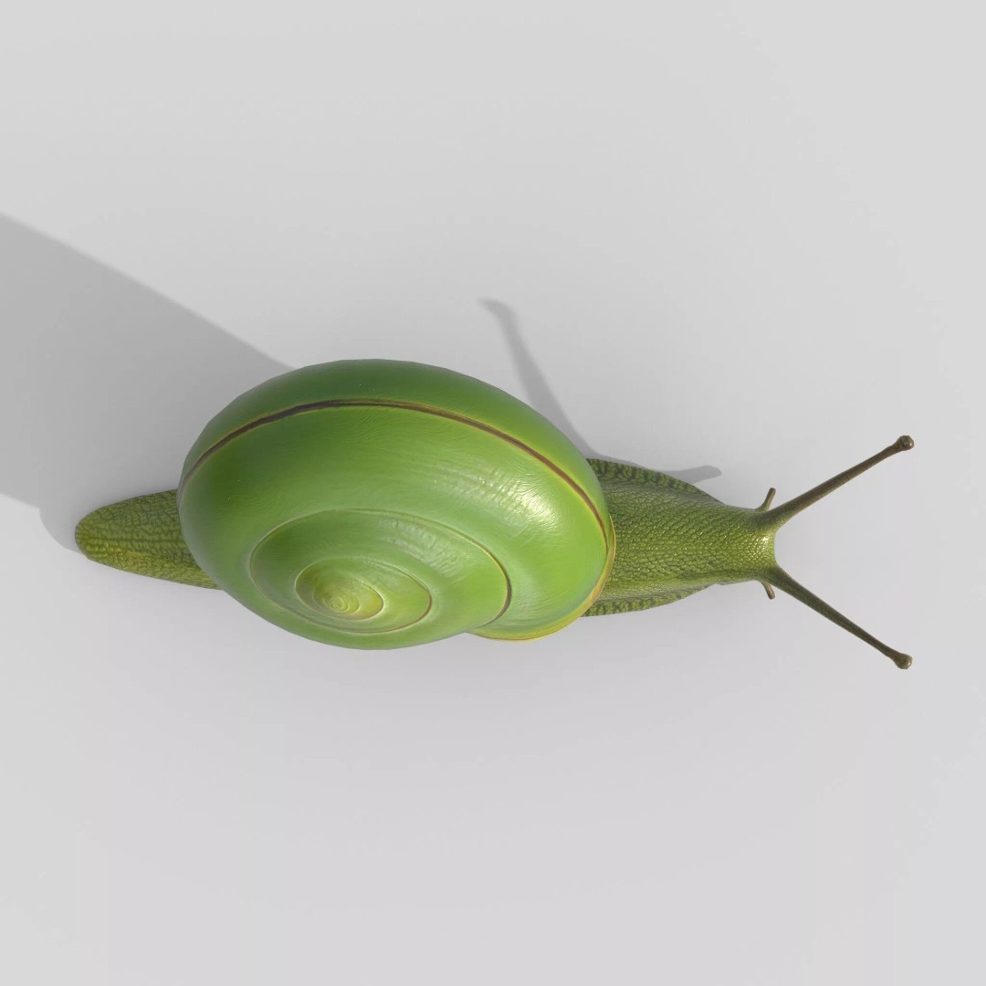 Rhinocochlis nasuta 3D Model – Low Poly Game Asset, FBX, PBR Textures - View 9