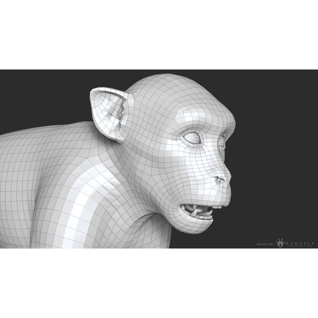 Rhesus Macaque Monkey 3D Model – High Poly Sculpture for Animation