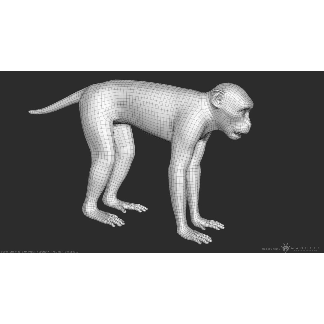 Rhesus Macaque Monkey 3D Model – High Poly Sculpture for Animation - View 22