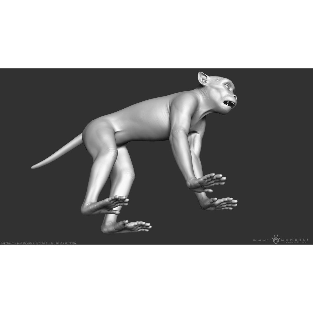 Rhesus Macaque Monkey 3D Model – High Poly Sculpture for Animation - View 7