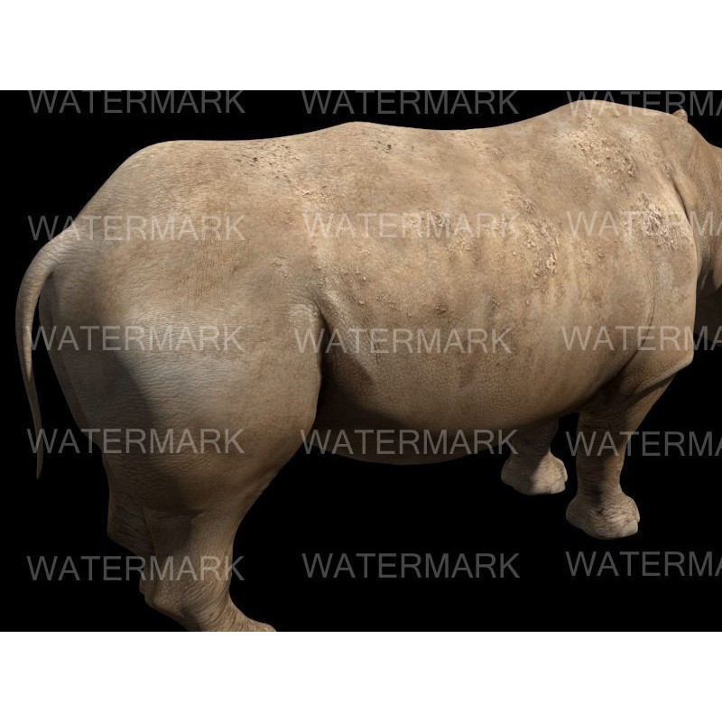 Rhinoceros 3D Model – Realistic High Poly Game Asset, FBX - View 10
