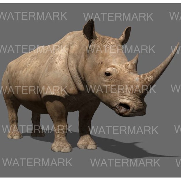 Rhinoceros 3D Model – Realistic High Poly Game Asset, FBX - View 13