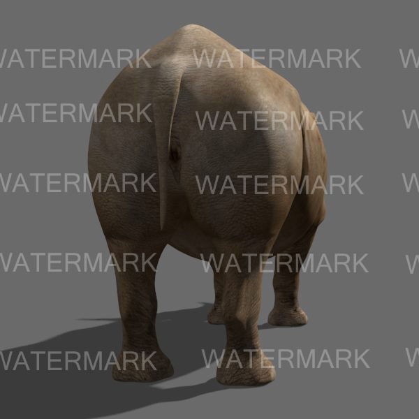 Rhinoceros 3D Model – Realistic High Poly Game Asset, FBX - View 17