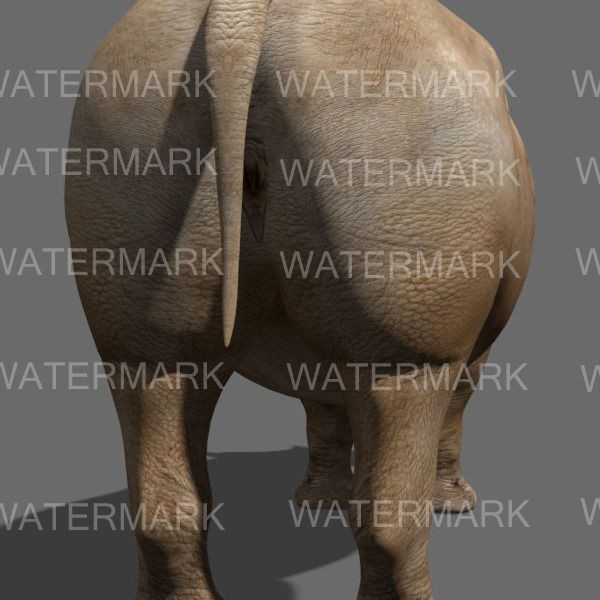 Rhinoceros 3D Model – Realistic High Poly Game Asset, FBX - View 20