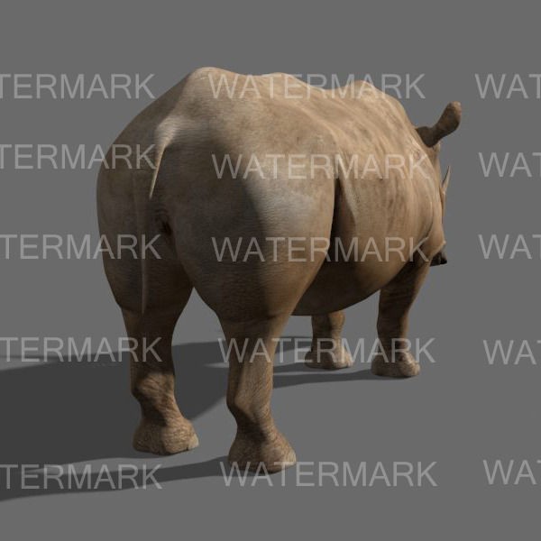 Rhinoceros 3D Model – Realistic High Poly Game Asset, FBX - View 21