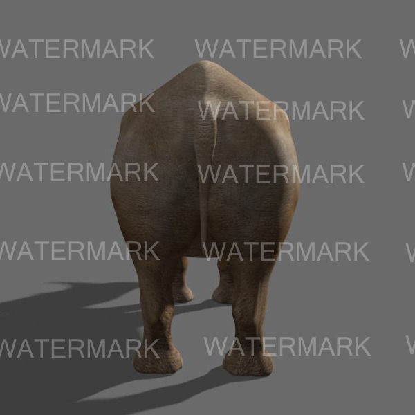 Rhinoceros 3D Model – Realistic High Poly Game Asset, FBX - View 22