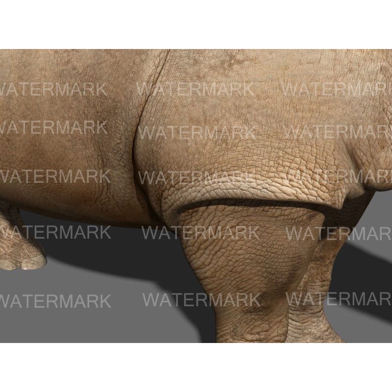 Rhinoceros 3D Model – Realistic High Poly Game Asset, FBX - View 25