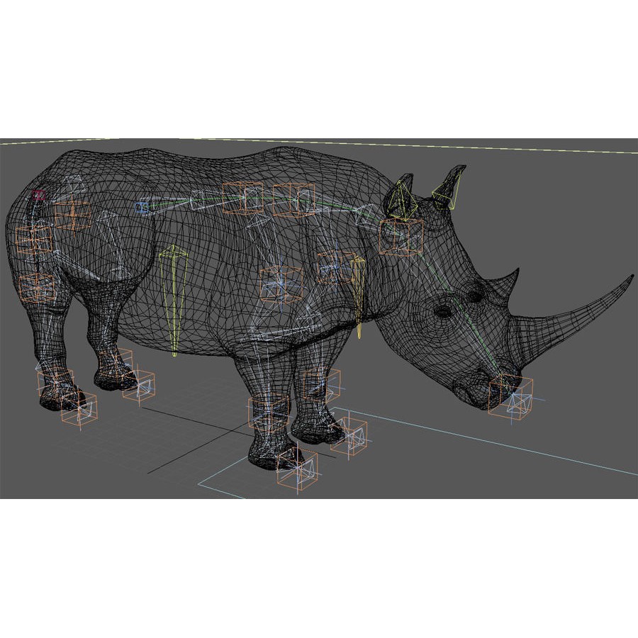 Rhinoceros 3D Model – Realistic High Poly Game Asset, FBX - View 28