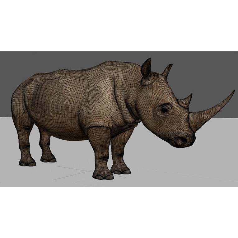 Rhinoceros 3D Model – Realistic High Poly Game Asset, FBX - View 29