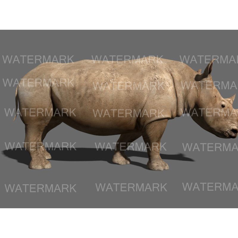 Rhinoceros 3D Model – Realistic High Poly Game Asset, FBX - View 35