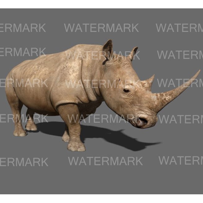 Rhinoceros 3D Model – Realistic High Poly Game Asset, FBX - View 36