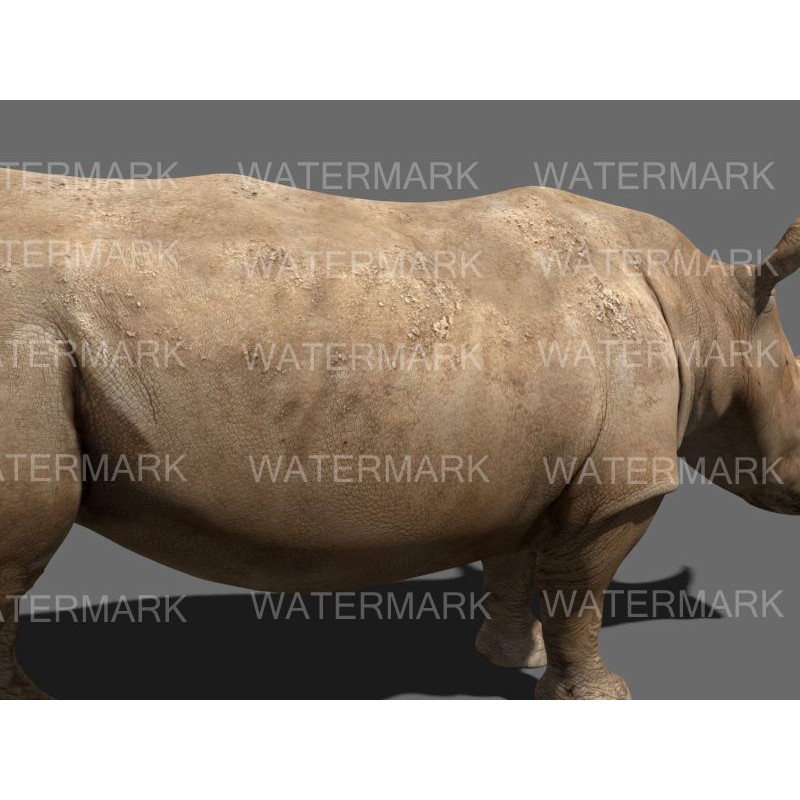 Rhinoceros 3D Model – Realistic High Poly Game Asset, FBX - View 38