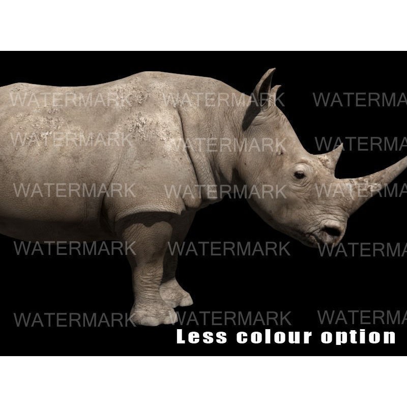 Rhinoceros 3D Model – Realistic High Poly Game Asset, FBX - View 4