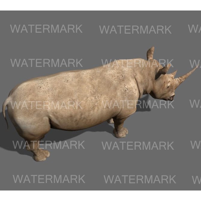 Rhinoceros 3D Model – Realistic High Poly Game Asset, FBX - View 8