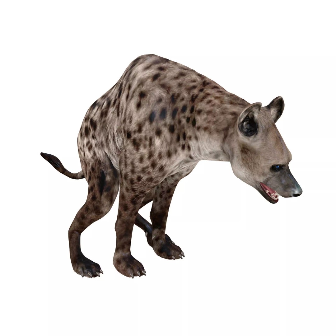 Rigged Lion 3D Model – Low Poly Animal Asset, FBX, PBR - View 10
