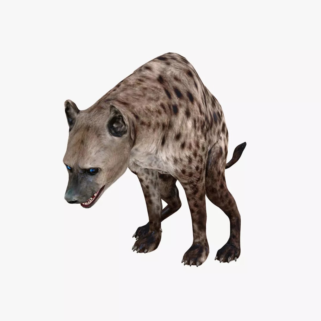 Rigged Lion 3D Model – Low Poly Animal Asset, FBX, PBR - View 18