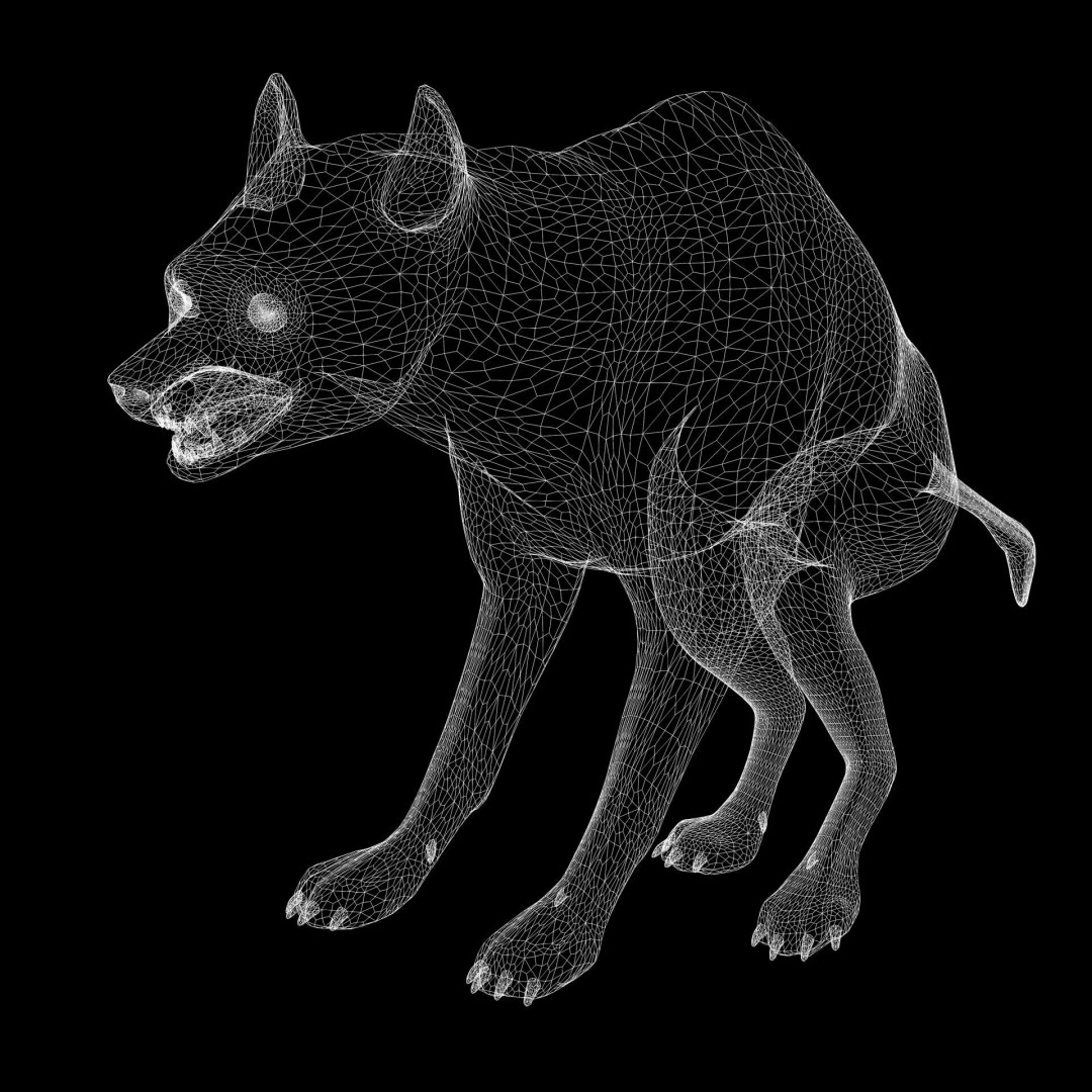 Rigged Lion 3D Model – Low Poly Animal Asset, FBX, PBR - View 27