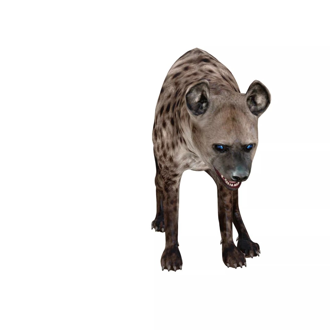 Rigged Lion 3D Model – Low Poly Animal Asset, FBX, PBR - View 3