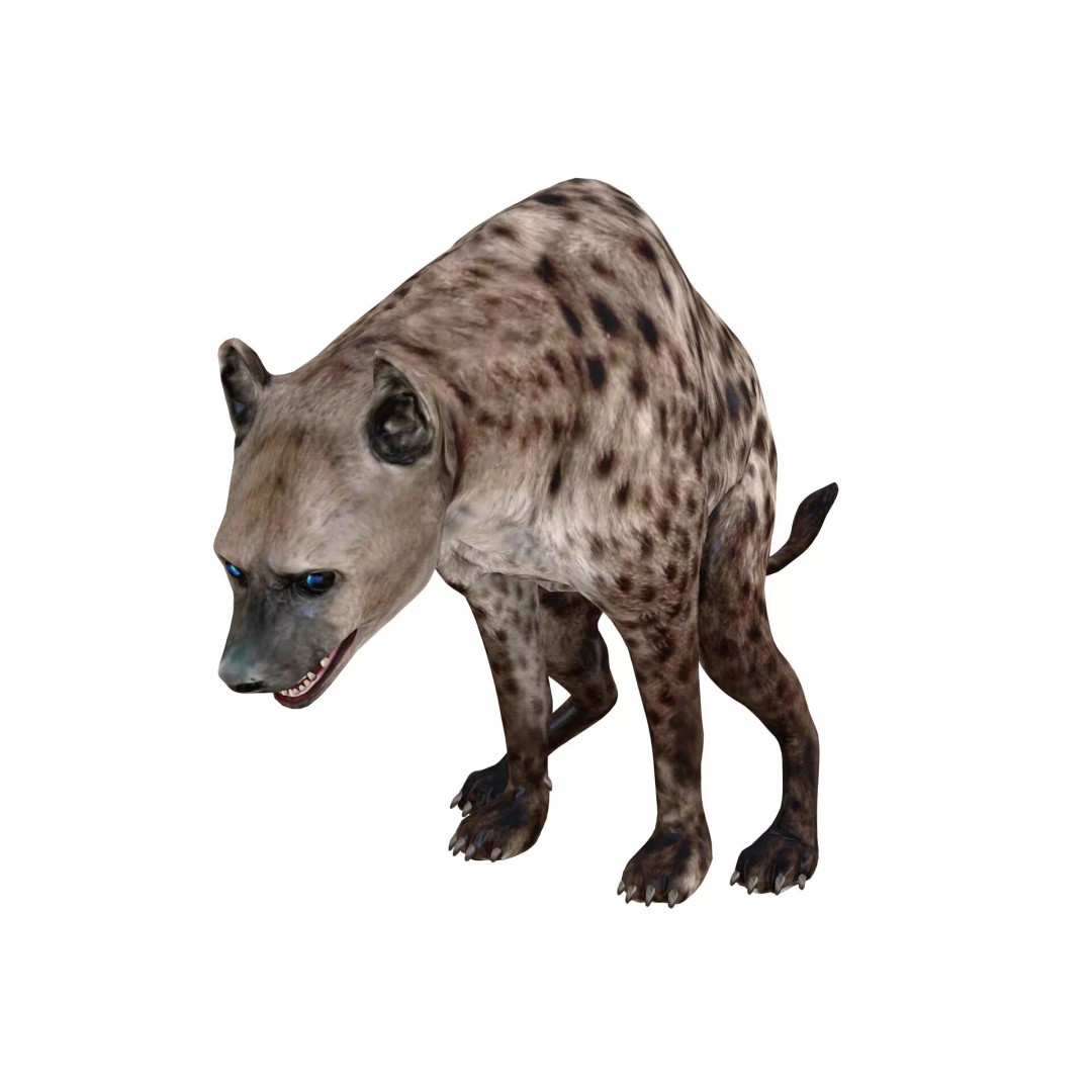 Rigged Lion 3D Model – Low Poly Animal Asset, FBX, PBR - View 4