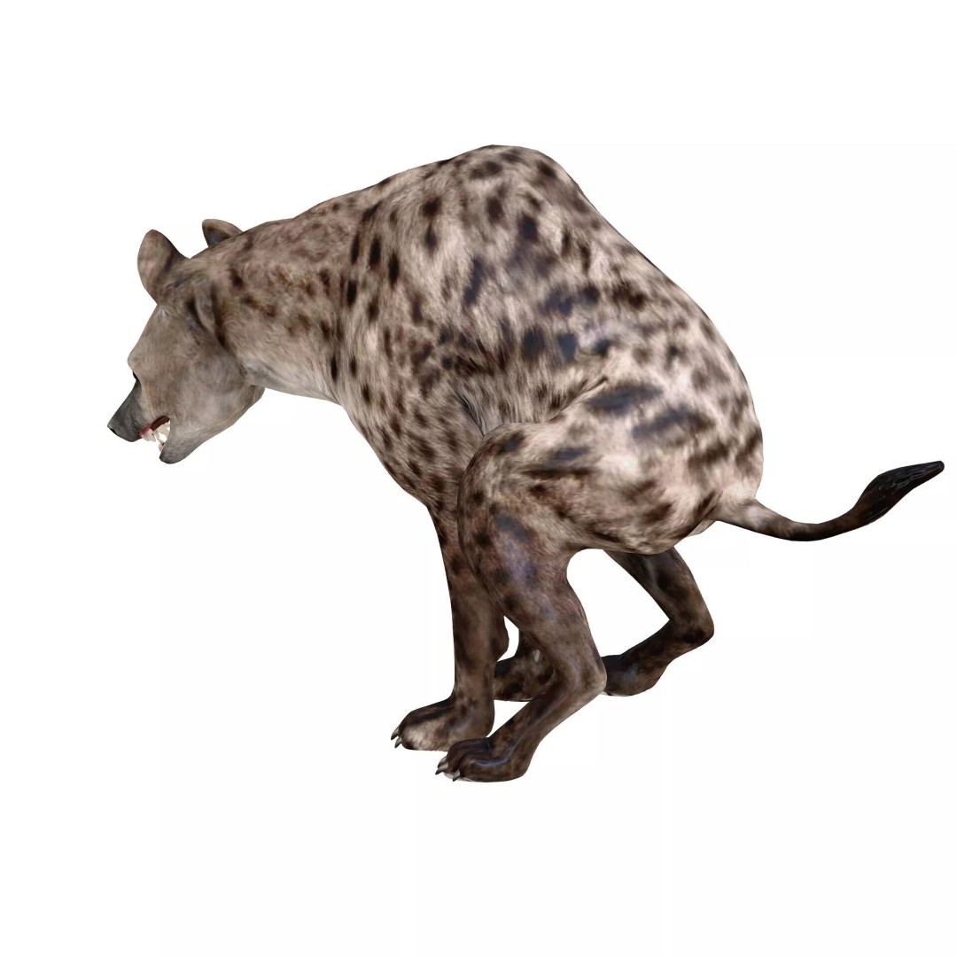 Rigged Lion 3D Model – Low Poly Animal Asset, FBX, PBR - View 6