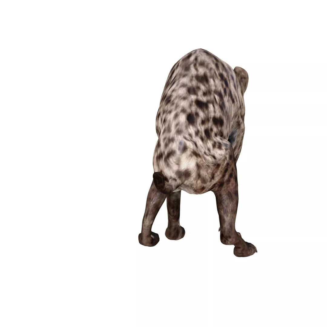 Rigged Lion 3D Model – Low Poly Animal Asset, FBX, PBR - View 7