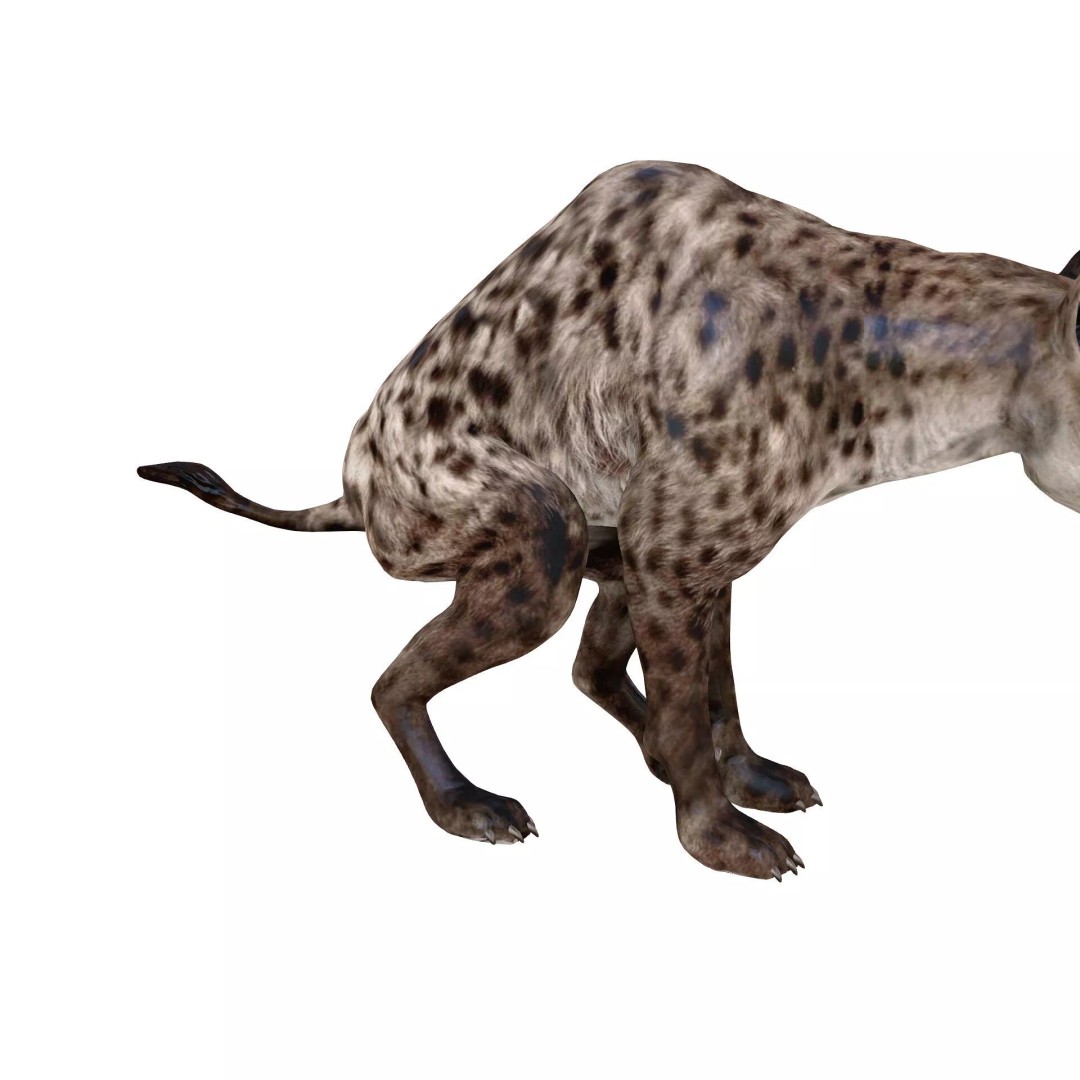 Rigged Lion 3D Model – Low Poly Animal Asset, FBX, PBR - View 8