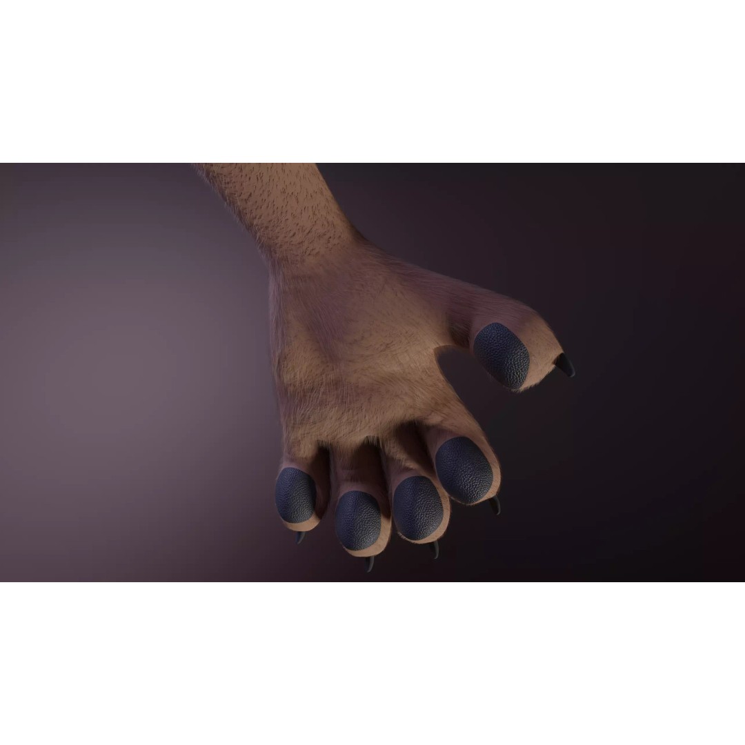 Kovu Anthro Wolf 3D Model – Low Poly Rigged Character, Blender & More - View 7