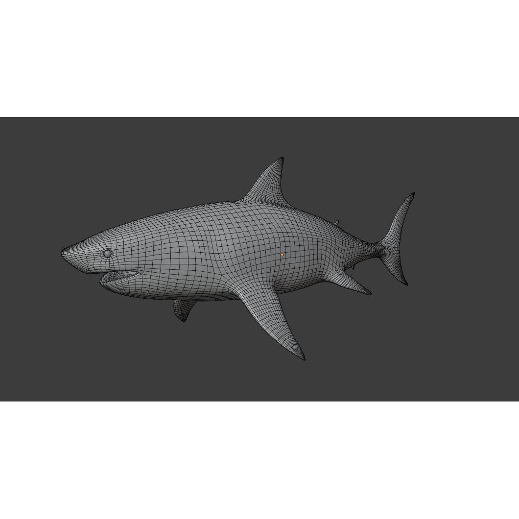 Great White Shark 3D Model – Low Poly Animated Rigged Asset, FBX - View 10