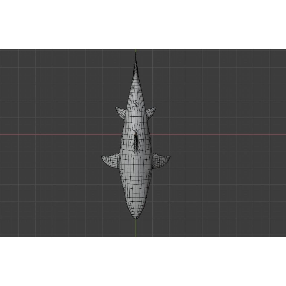 Great White Shark 3D Model – Low Poly Animated Rigged Asset, FBX - View 13