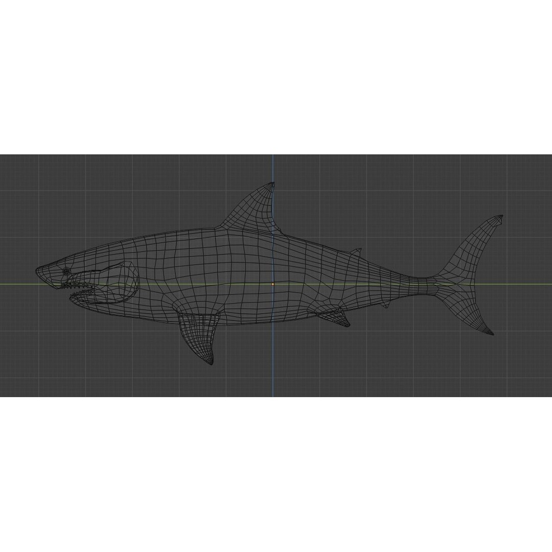 Great White Shark 3D Model – Low Poly Animated Rigged Asset, FBX - View 15