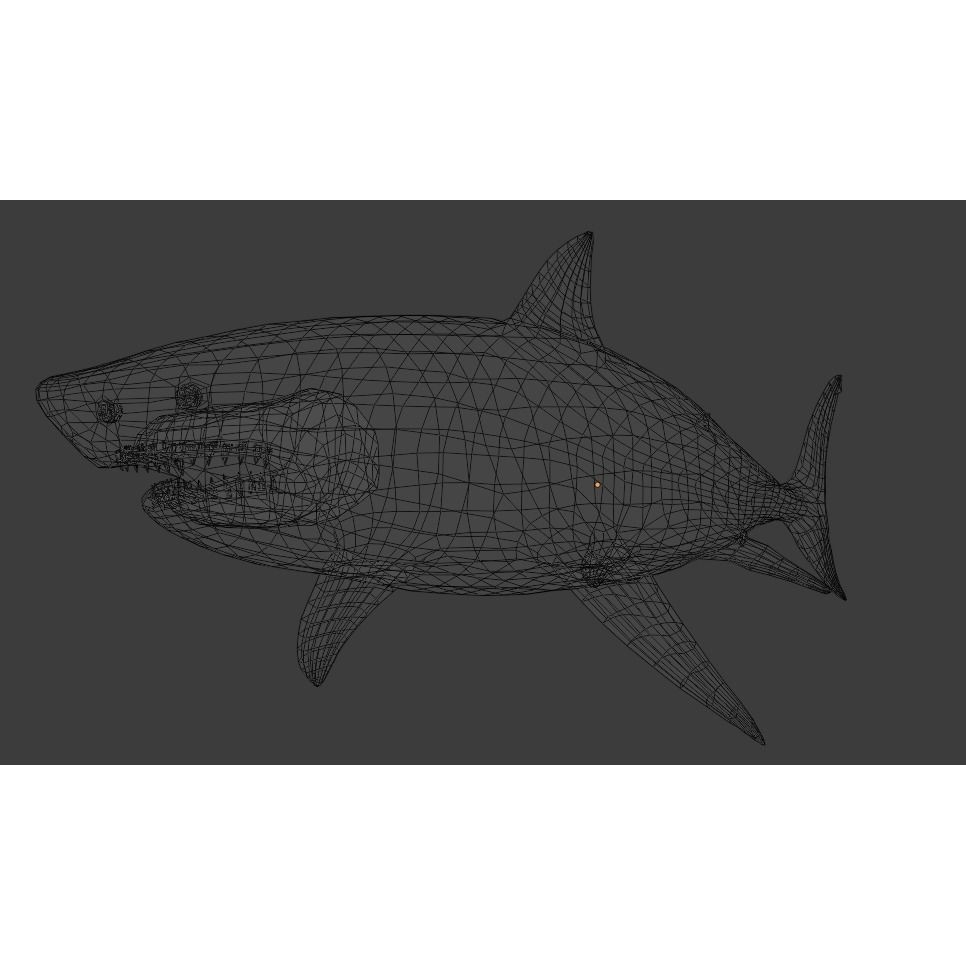 Great White Shark 3D Model – Low Poly Animated Rigged Asset, FBX - View 16
