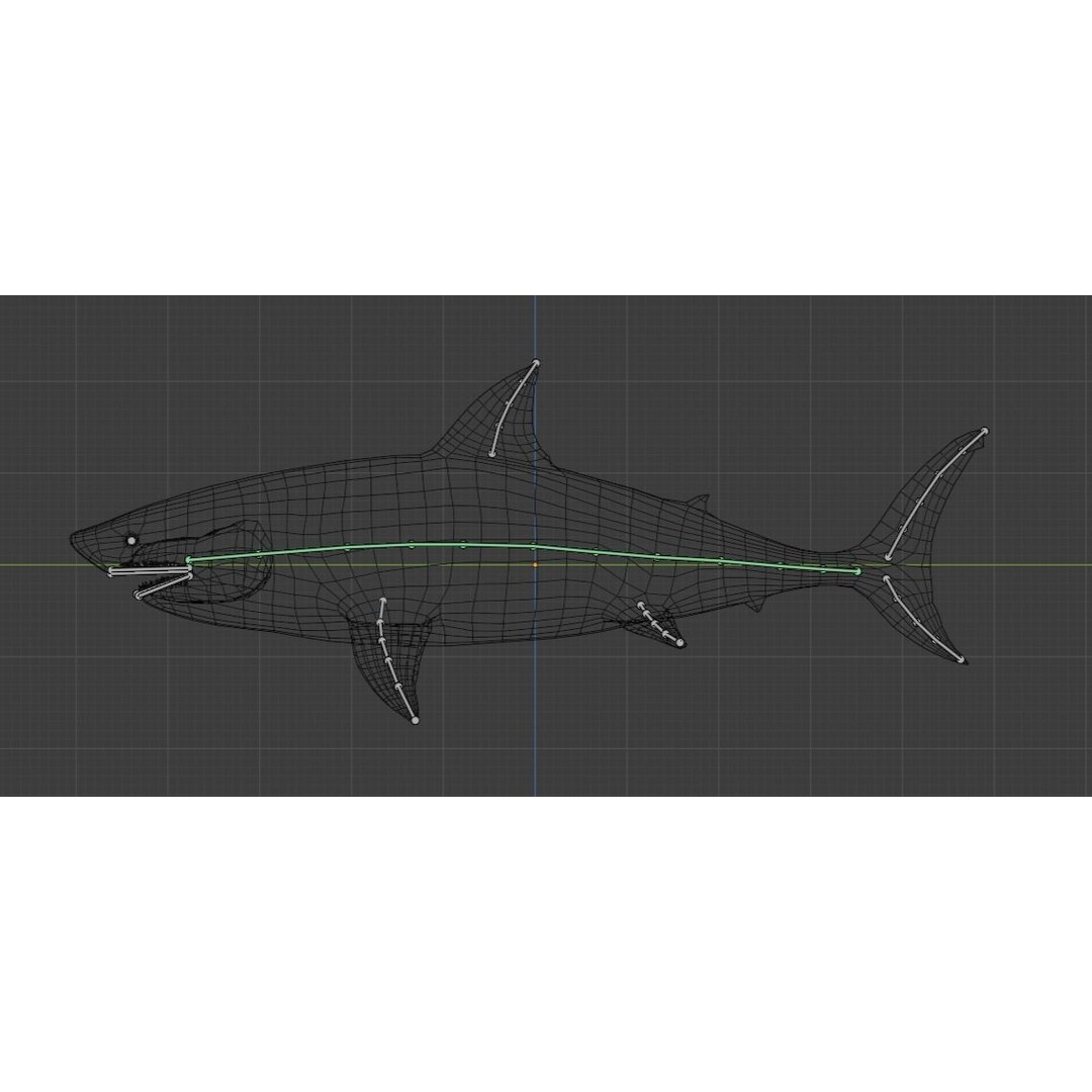 Great White Shark 3D Model – Low Poly Animated Rigged Asset, FBX - View 20