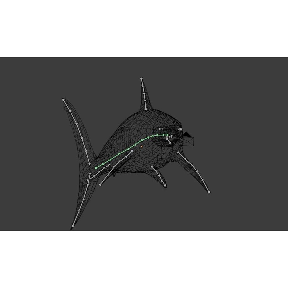 Great White Shark 3D Model – Low Poly Animated Rigged Asset, FBX - View 21